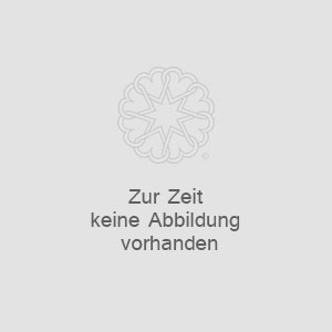 Abbildung